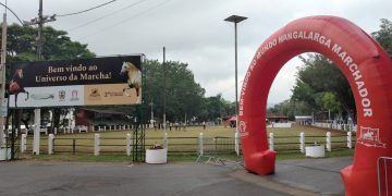 10ª Exposição Especial do Cavalo Mangalarga Marchador encerra neste sábado