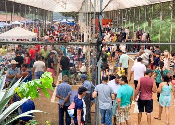Feira da Amizade retoma atividades 