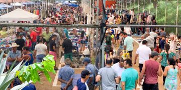 Feira da Amizade retoma atividades 