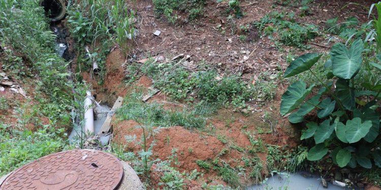 Esgoto estoura e contamina Área de Preservação Permanente na Planejada I