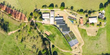 Construtora Carraro reforma e amplia Viveiro Florestal Copaíba