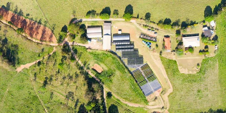 Construtora Carraro reforma e amplia Viveiro Florestal Copaíba