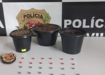 DISE detém adolescente de 15 anos com ecstasy e pés de maconha