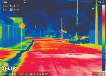 1.500 árvores serão plantadas em ilhas de calor em 25 regiões 