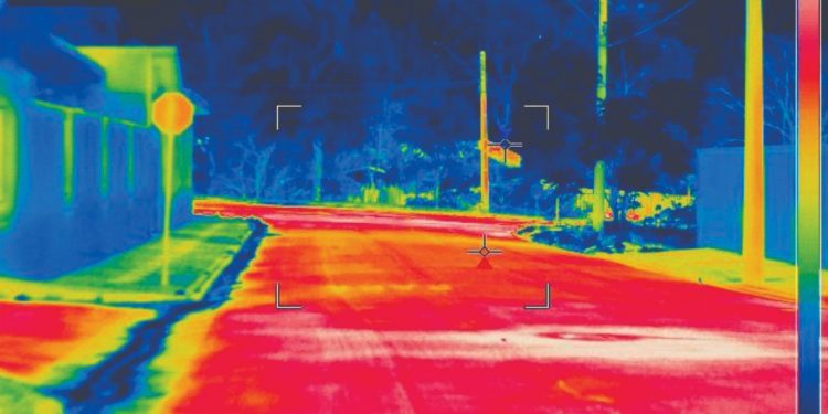 1.500 árvores serão plantadas em ilhas de calor em 25 regiões 