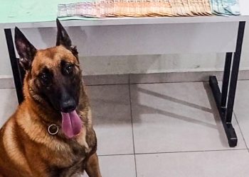 “Operação Saturação” do GGI termina com traficante preso e na apreensão de drogas