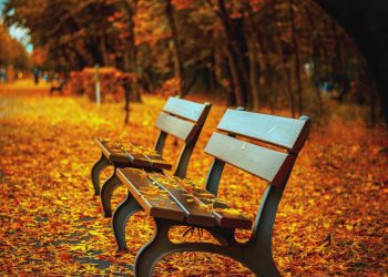 Estação mais seca do ano, outono começa neste domingo