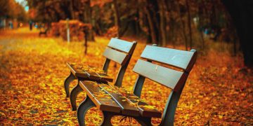 Estação mais seca do ano, outono começa neste domingo