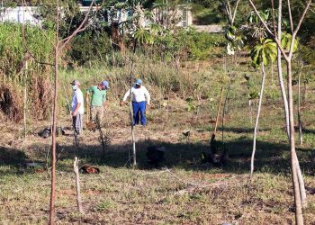 Governo do Estado destina R$2 milhões para recuperação ambiental