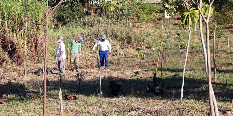 Governo do Estado destina R$2 milhões para recuperação ambiental