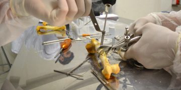 Edmir defende ampliação de vagas para cirurgias na Região Bragantina