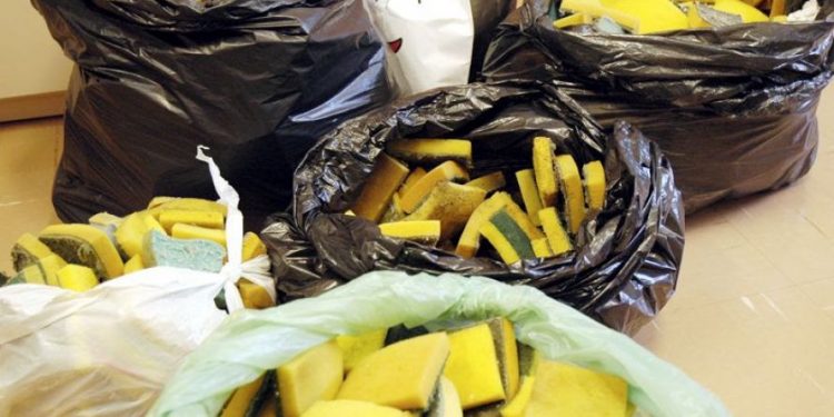 Bragança participa do Programa Nacional de Reciclagem de Esponja