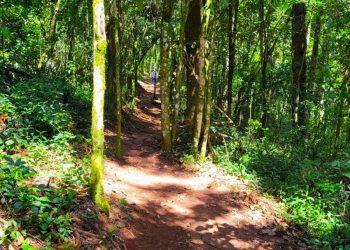 Prefeitura promove oficinas sobre áreas de conservação de interesse ecológico