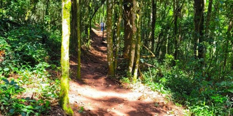 Prefeitura promove oficinas sobre áreas de conservação de interesse ecológico