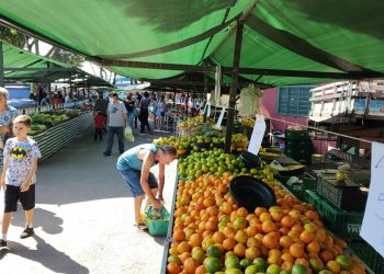 Feiras mudam de local durante a Festa do Peão    