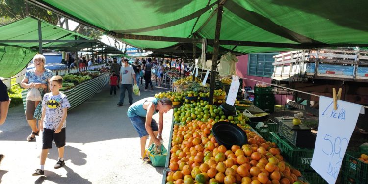 Feiras mudam de local durante a Festa do Peão    