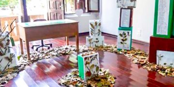 Exposição “O futuro é agora” prorrogada até 31 de julho