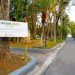 Revitalizado, Jardim Público será reaberto ao público