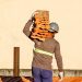 Serviços e Construção Civil respondem pela maioria dos empregos criados em junho
