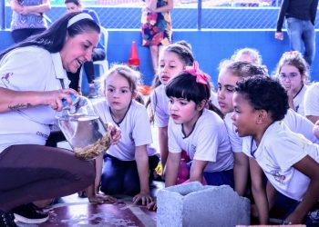 Cidade teve média de 112 acidentes com escorpiões nos últimos 4 anos