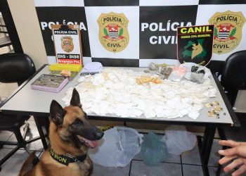 Operação “Natalis”: DISE, DIG e GCM prendem “figurões do tráfico” e retiram quase 3kg de drogas das ruas