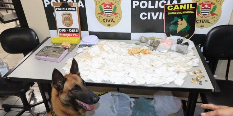 Operação “Natalis”: DISE, DIG e GCM prendem “figurões do tráfico” e retiram quase 3kg de drogas das ruas