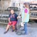 Semana de Mobilização Social contra o Aedes aegypti vai até dia 24