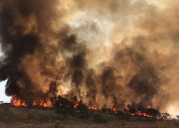 SP Sem Fogo:  Edmir Chedid apoia iniciativa de combate a incêndios