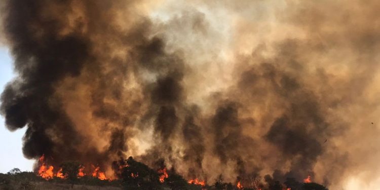 SP Sem Fogo:  Edmir Chedid apoia iniciativa de combate a incêndios
