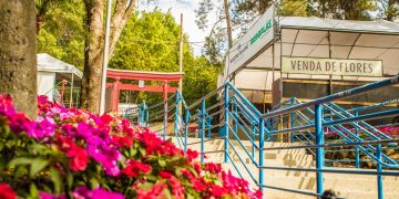 41ª edição da Festa de Flores e Morangos de Atibaia terá ingresso promocional