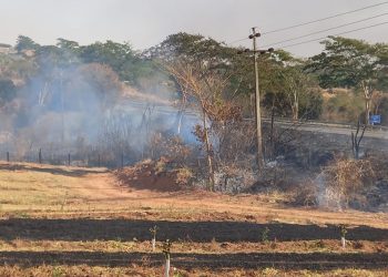 Zona Norte é a região mais atingida por queimadas nos últimos meses