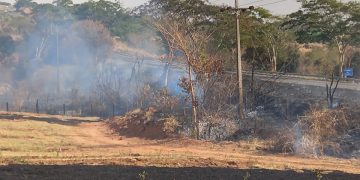 Zona Norte é a região mais atingida por queimadas nos últimos meses