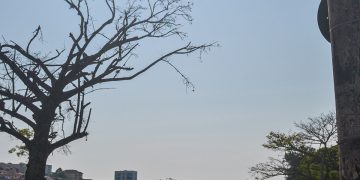 Início da Primavera: Onda de calor também atinge Bragança e sensação térmica pode ser de 40ºC