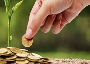 Imposto ecológico :  Benefícios tributários têm baixa adesão para 2024