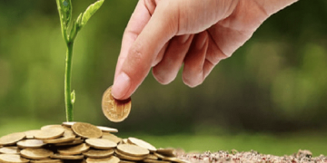 Imposto ecológico :  Benefícios tributários têm baixa adesão para 2024