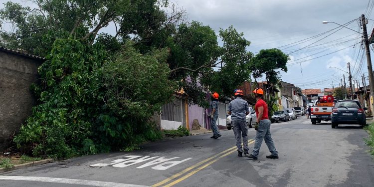 Temporal causa danos pela cidade com queda de árvores e desabamento