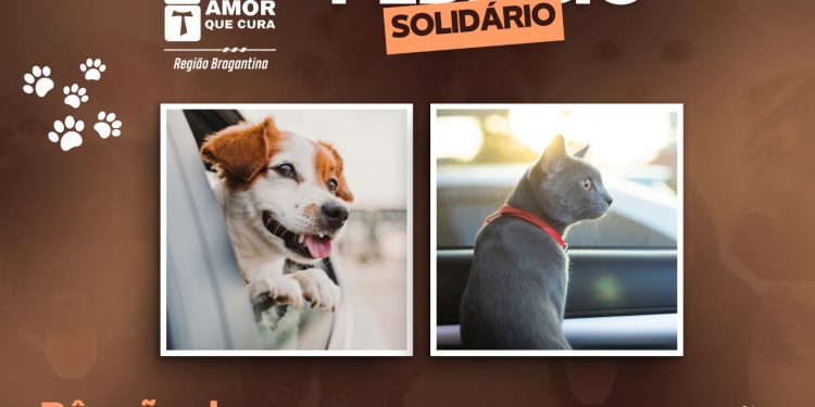 HUSF promove Pedágio Solidário em prol da Missão Amor que Cura