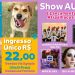 TODOS POR PATAS:  Projeto independente realiza o “Show dos AUmigos” em prol dos animais