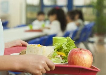 PL sobre ultraprocesados em escolas será debatido em audiência pública