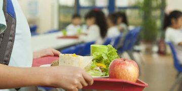 PL sobre ultraprocesados em escolas será debatido em audiência pública