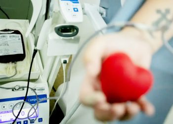 App que incentiva doação de sangue já pode ser baixado