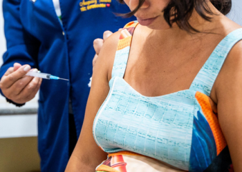 Imunizante contra a dengue entra no cronograma vacinal do SUS