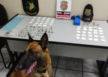 Ousadia do tráfico:  Equipe Charlie prende traficantes horas após ação da DISE