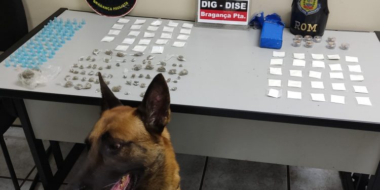 Ousadia do tráfico:  Equipe Charlie prende traficantes horas após ação da DISE