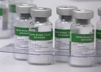 Ministério da Saúde define público prioritário para vacina da Dengue