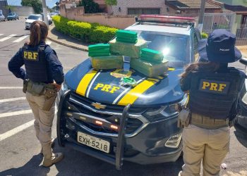 PRF apreende 51 kg de maconha em Atibaia   