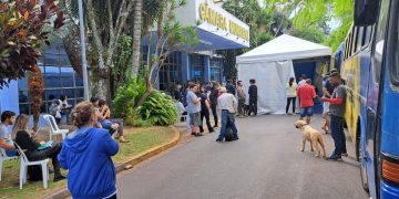 Castramóvel abre cadastro para atendimento na Câmara Municipal