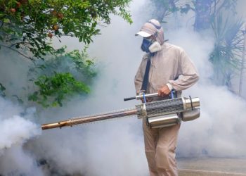 Estado de SP promove dia D de combate à Dengue