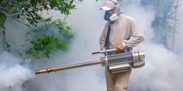 Estado de SP promove dia D de combate à Dengue