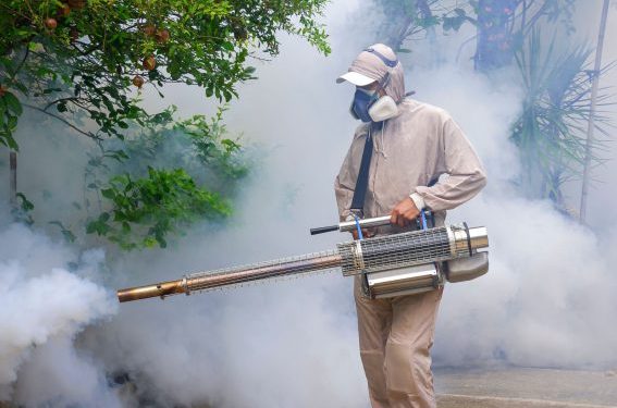 Estado de SP promove dia D de combate à Dengue